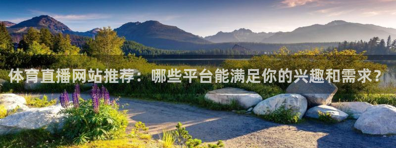 857体育直播免费在线观看：体育直播网站推荐：哪些平台能满足你的兴趣和需求？