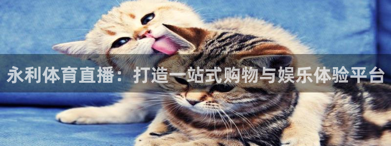 857体育篮球直播：永利体育直播：打造一站式购物与娱乐体验平台