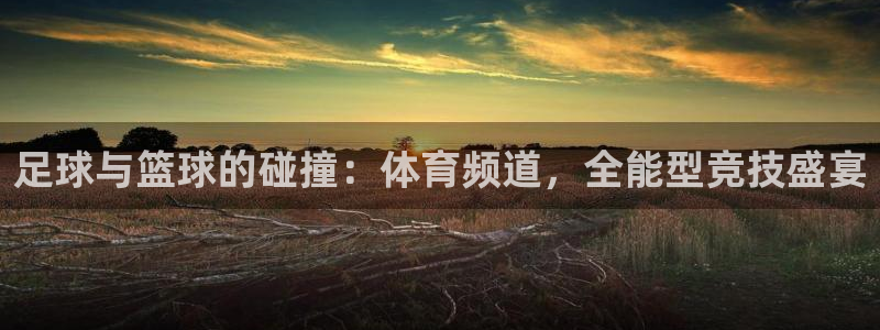 857体育赛事直播官网：足球与篮球的碰撞：体育频道，全能型竞技盛宴
