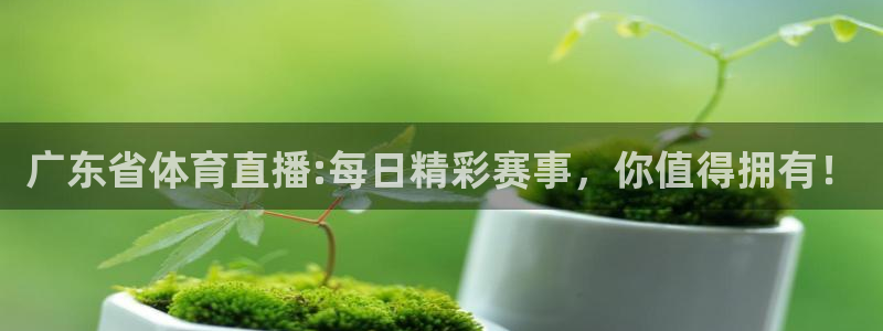 857体育赛事：广东省体育直播:每日精彩赛事，你值得拥有！