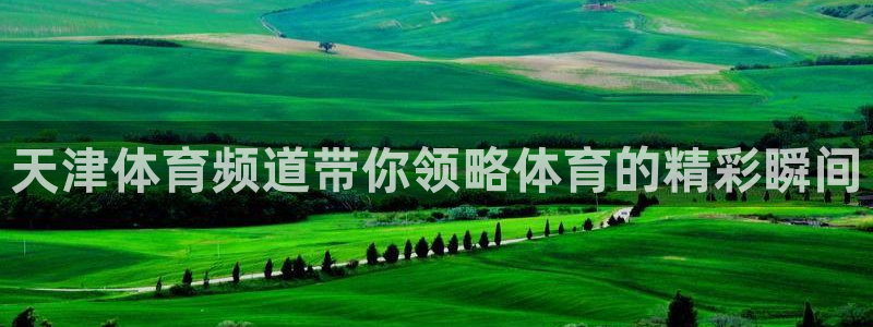 857足球直播：天津体育频道带你领略体育的精彩瞬间