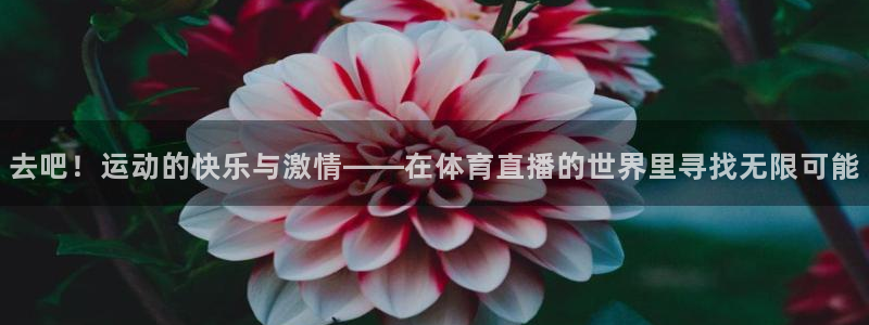 857体育直播网：去吧！运动的快乐与激情——在体育直播的世界里寻找无限可能