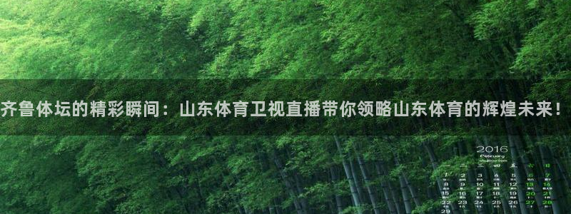 857体育赛事直播吧：齐鲁体坛的精彩瞬间：山东体育卫视直播带你领略山东体育的辉煌未来！