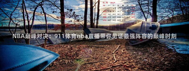 857直播体育在线直播：NBA巅峰对决：911体育nba直播带你见证最强阵容的巅峰时刻