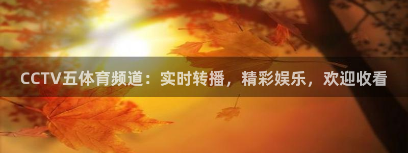 857足球直播观看入口：CCTV五体育频道：实时转播，精彩娱乐，欢迎收看