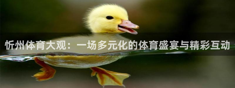 857体育赛事直播吧：忻州体育大观：一场多元化的体育盛宴与精彩互动