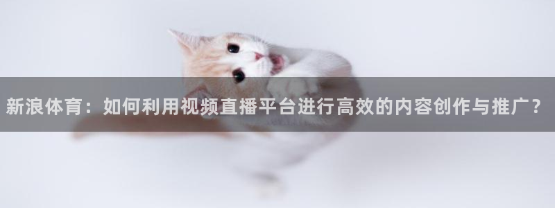 857直播体育n：新浪体育：如何利用视频直播平台进行高效的内容创作与推广？